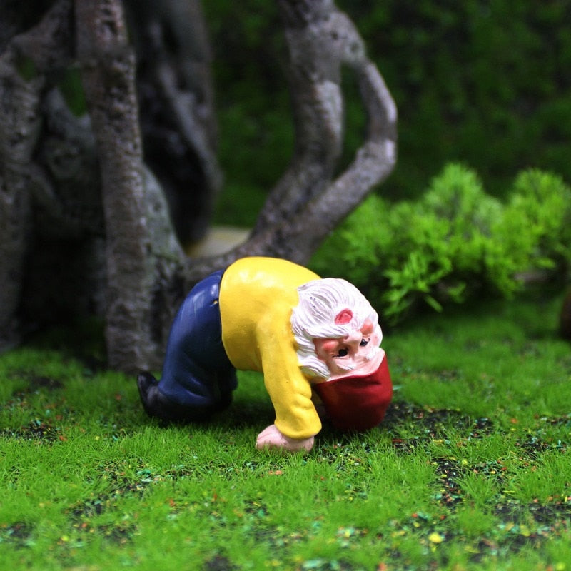 Gnomos Divertidos Para Jardim